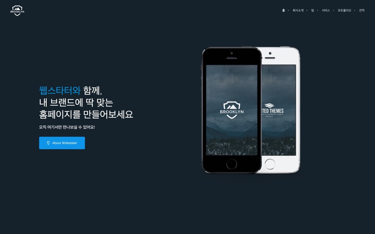 홈페이지 제작 · 웹에이전시 홈페이지 제작 사례 — 회사와 팀, 포트폴리오를 한 흐름으로 보여주는 웹 제작사 소개 사이트